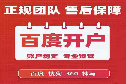SEM代理操作技巧：成功案例揭秘